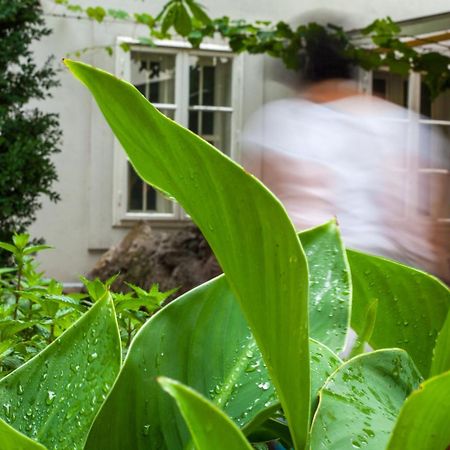וינה Schlossquadrat Apartment 16 מראה חיצוני תמונה